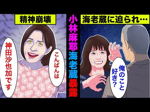 【実話】小林麻耶が海老蔵のヤバい過去を暴露!内容をわかりやすくアニメで解説!【アニメ】