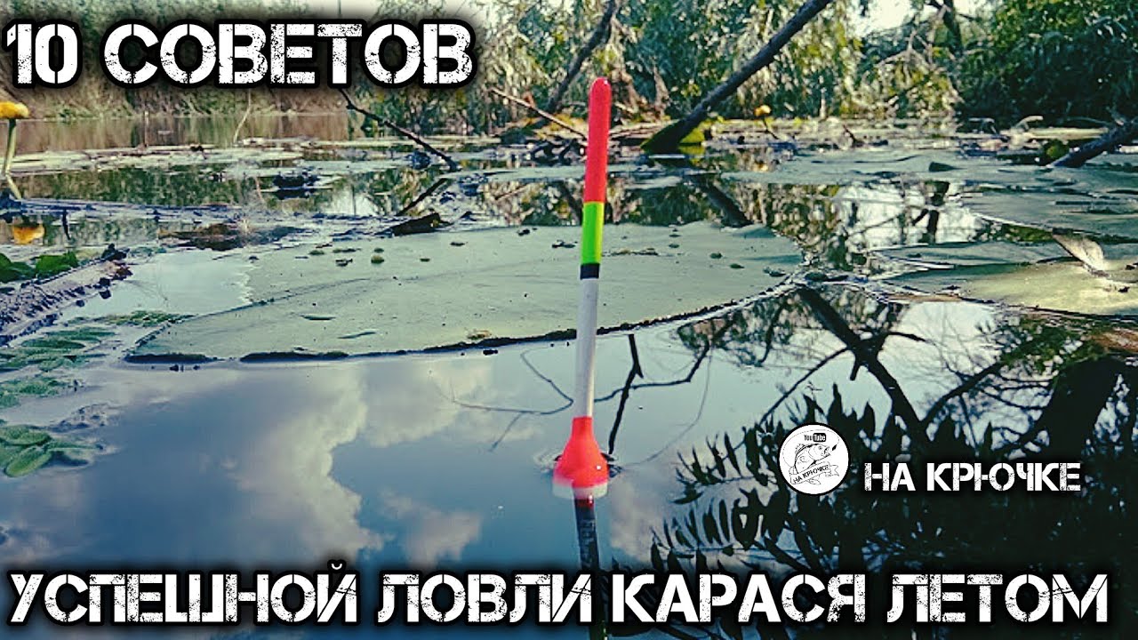 Летняя ловля карася: советы для успеха 🎣