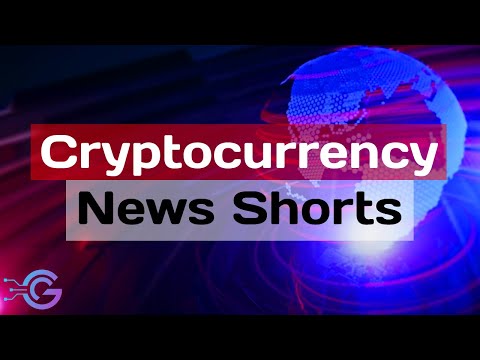 Warren’s Crypto Crackdown #shorts