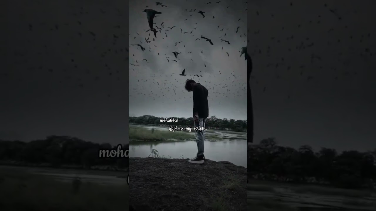 Heartfelt Sad Status & Stories | Short & Touching 😢