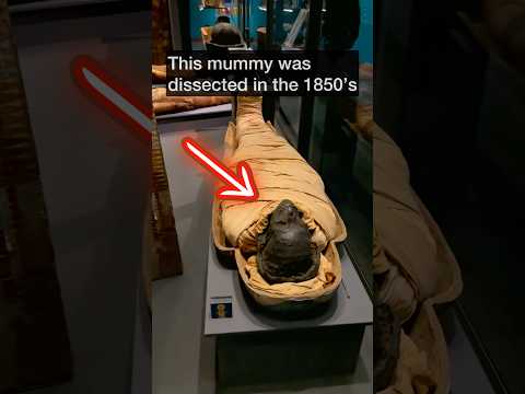 They found something inside the mummy….