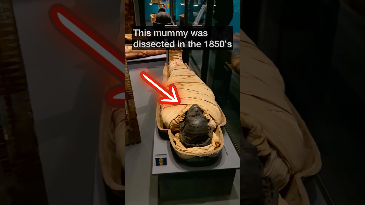 Unbelievable Discovery Inside 1850s Egyptian Mummy 🏺