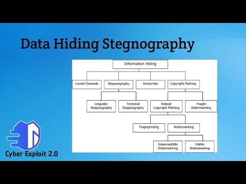 data hiding steganography