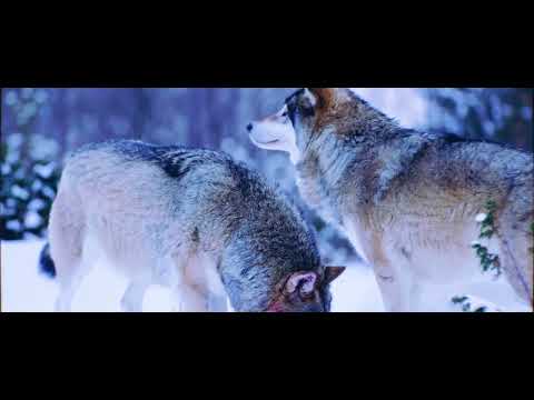 Mayel Jimenez - Dejame (clip oficial)