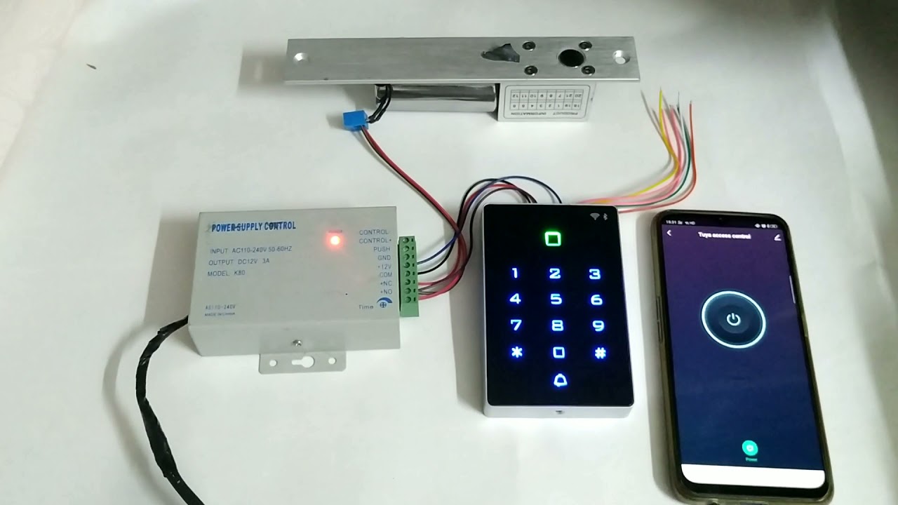 Tuya Access Control Demo Video
