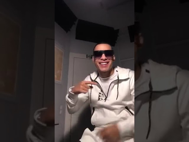 Gheboasa's New Hit 'Habibi' 🎶 Official Music Video