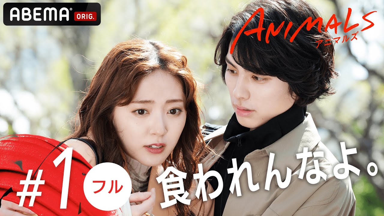 【1話フル】運命の出会いが変える未来⁉️新ドラマ『ANIMALS-アニマルズ-』毎週木曜22時放送中！