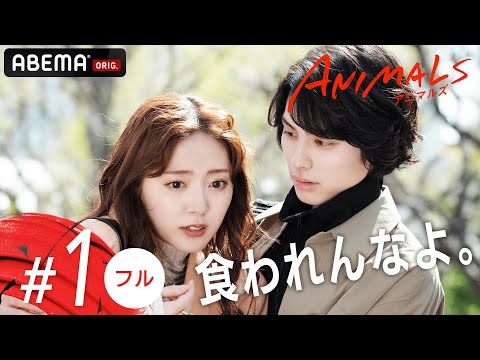 【1話フル】最悪の出会い、何か変わる予感...!?🐯💄新ドラマ【ANIMALS-アニマルズ-】毎週木曜22時アベマで放送中！