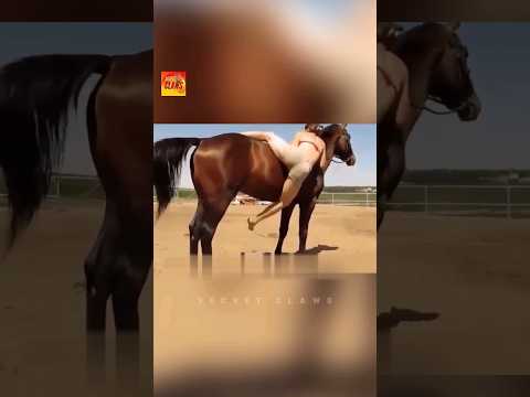 This Horse Went Viral After This Video #animals #viralvideo