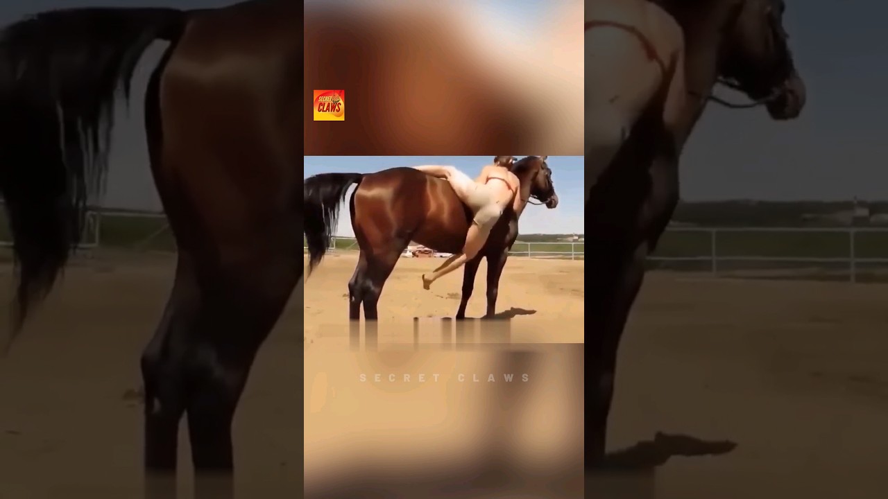 Viral Horse Video Sparks Buzz 🐴