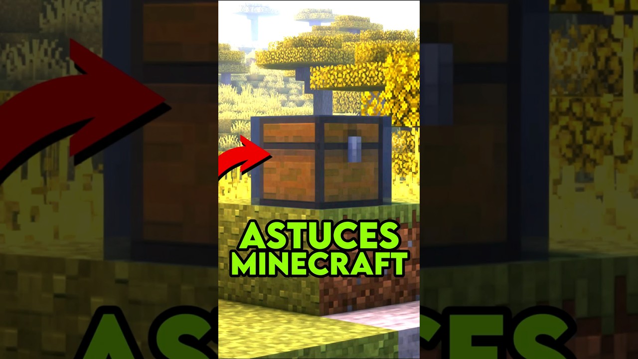 6 Astuces INCROYABLES sur Minecraft 🤩 #1