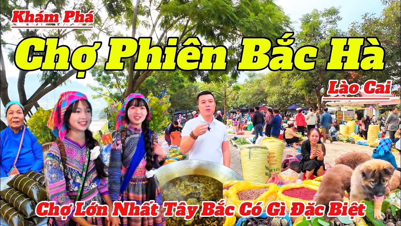 Khám Phá Chợ Phiên Bắc Hà - Lào Cai 2025 | Chợ Lớn Nhất Tây Bắc Có Gì Đặc Biệt