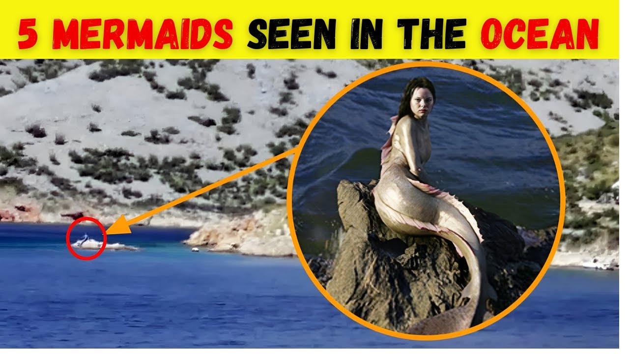 5 Mysterious Mermaid Sightings Unexplained 🧜‍♀️