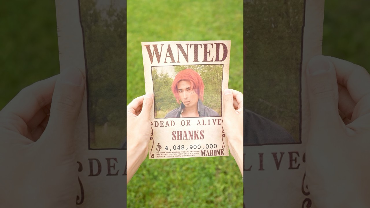 Pirates' Ugly Reputation in One Piece ⚓️