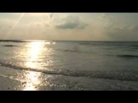 Arnd Stein - Am Meer | Relaxing Music 🌊