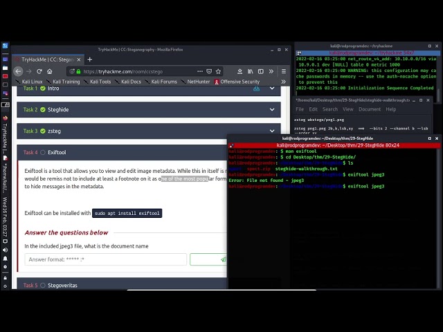 THM Steganography Challenge: Mastering ExifTool for Hidden Data 🕵️‍♂️