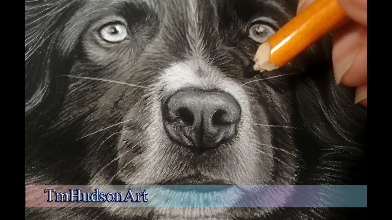 Real-Time Tutorial: Shading a Dog Nose with Charcoal