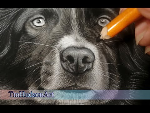 How to draw a dog nose - shading the nose in charcoal, tutorial REAL TIME