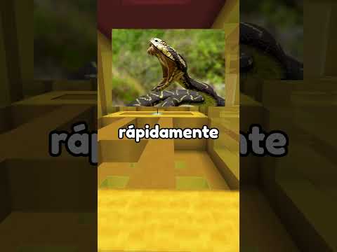 Los lugares más peligrosos del mundo! 💀