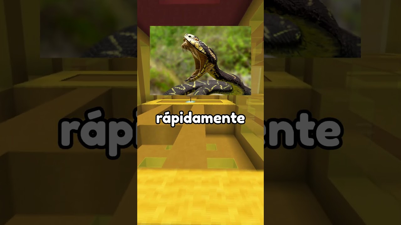 Los lugares más peligrosos del mundo: datos sorprendentes