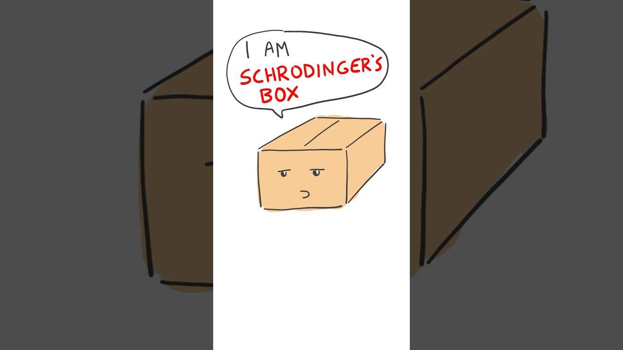 Schrödinger’s Box Explained 🧪