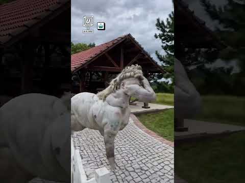 My Horse's Heartwarming Greeting After Work 🐴🏡