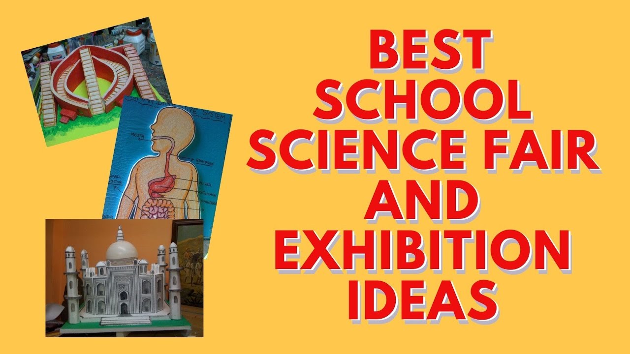 Top School Science Project Ideas for Exhibitions