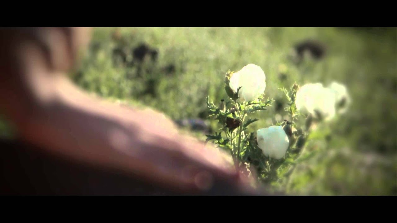 JESSE & JOY – Me Quiero Enamorar 🎶 | Video Oficial