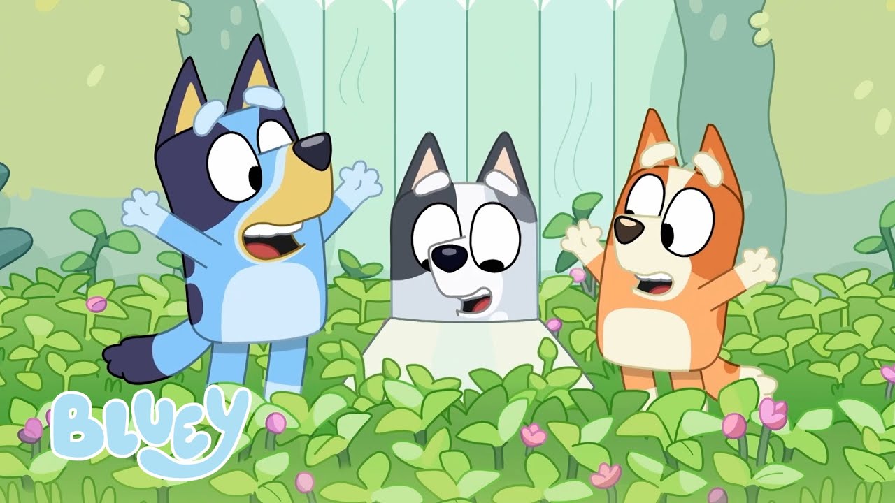 Bluey en Français | Chaîne Officielle 🐶