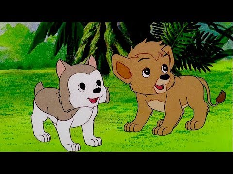 SIMBA REI LEÃO | Episódio 4 | Português | Simba King Lion