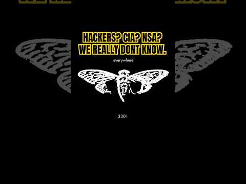 A mysterious group posted a puzzle #cicada3301 #cryptography #history #shorts #philippines