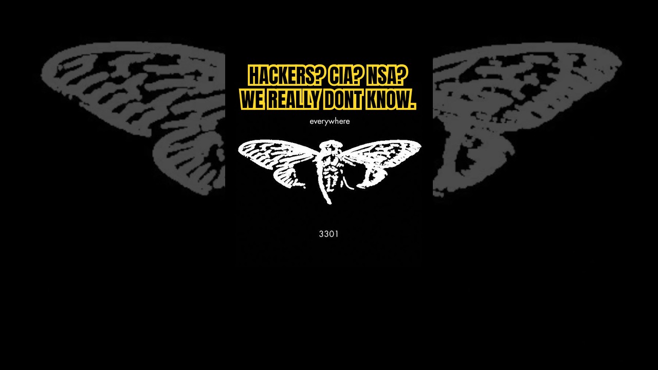 Unraveling the Enigma of Cicada 3301: The Mysterious Puzzle That Baffled the World 🕵️‍♂️