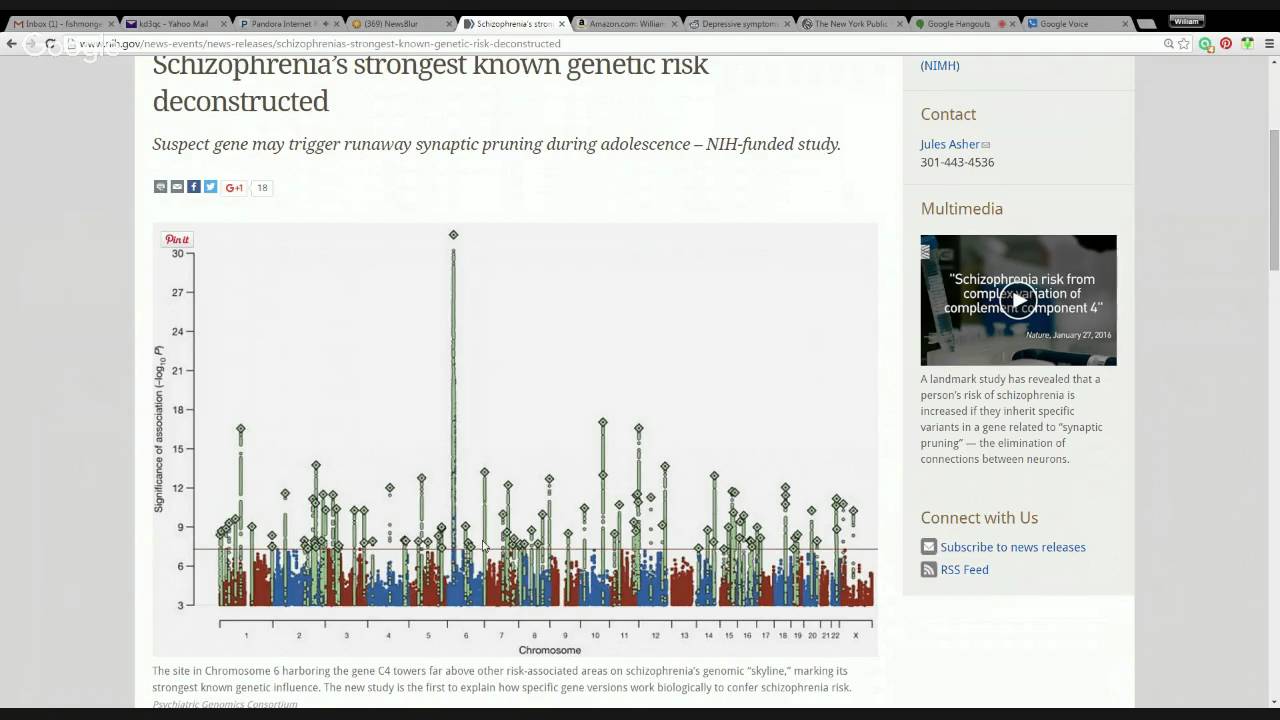 Synaptic Pruning, Schizophrenia & Immune System Insights 🧠