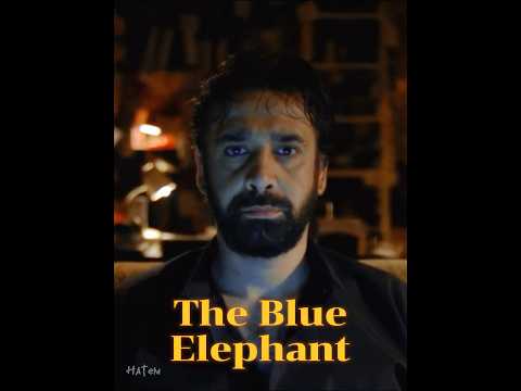 Karim Abdelaziz Best Movies