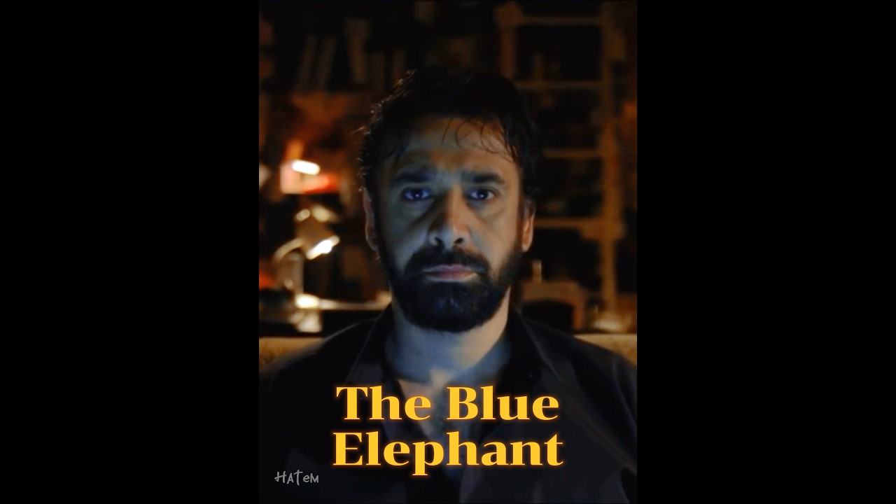 Top Karim Abdelaziz Movies You Must Watch 🎬