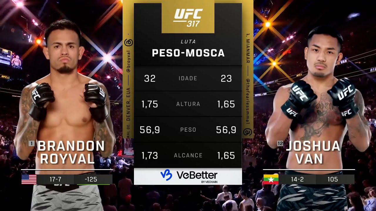 Royval vs Van | UFC 323 Full Fight Replay