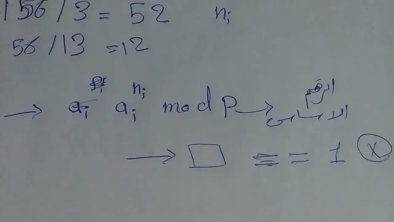 Efficient Method for Calculating Primitive Roots of Large Prime Numbers