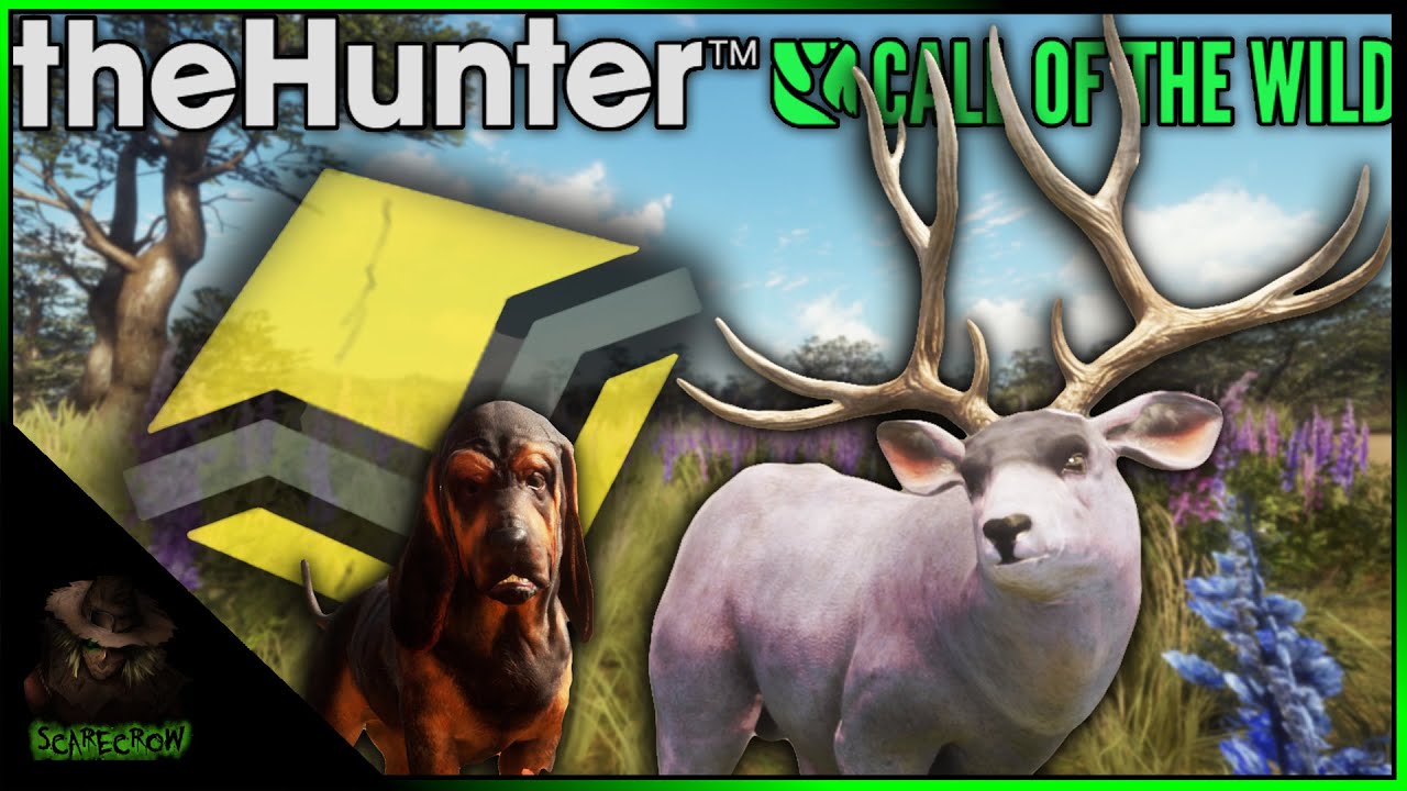 We Found A Max Weight DIAMOND DILUTE MULE DEER During A TruRACS Blackbuck Hunt!