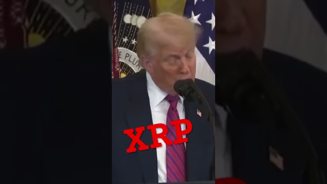 XRP to Transform the Financial System: Insights from Molt Media