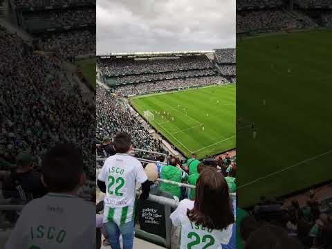 Betis fans cheering ⚪🟢 vs Mallorca (04.11.2023) #ayozeperez #realbetis #football #footballfans