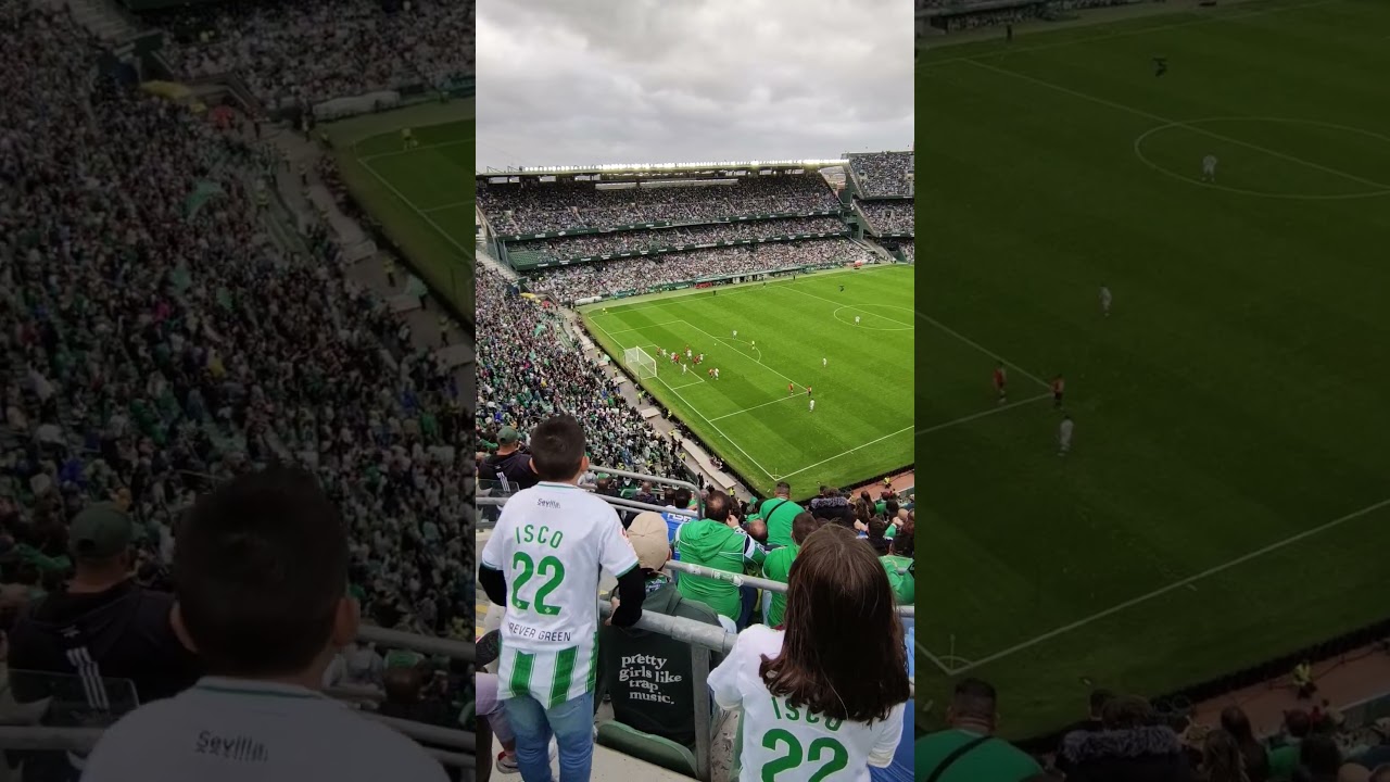 Betis Fans Roar in Excitement During Match Against Mallorca ⚽