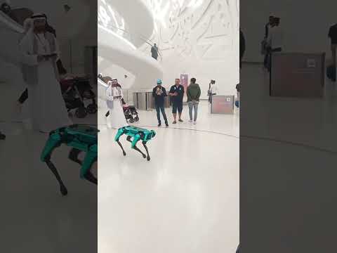 DUBAI MUSEUM of the Future -