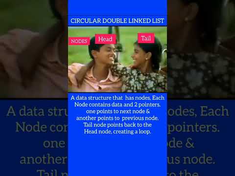 What is Circular Double Linked List? #shorts #programming #programmingmemes #itmemes #datastructures