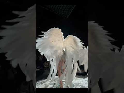 🪽 Like a White 🤍 Fairy ✨ #EtherealVibes #FairyLook #WhiteMagic #DreamyAesthetic #SoftGlam