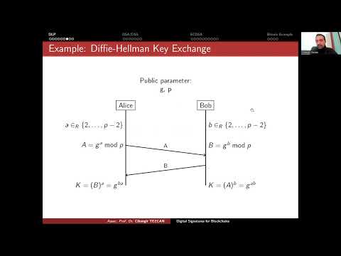 Discrete Logarithm Problem for Blockchains and Cryptocurrencies