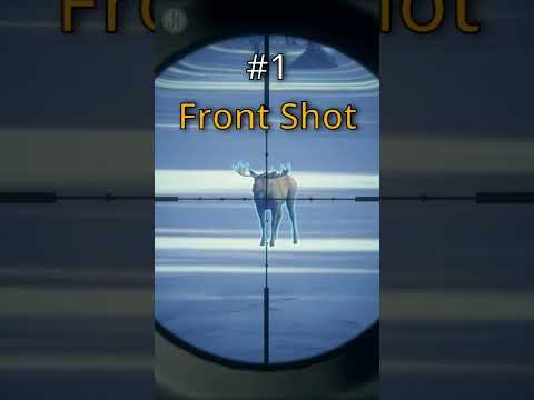 How to Heart Shot Moose at Long Range 🎯