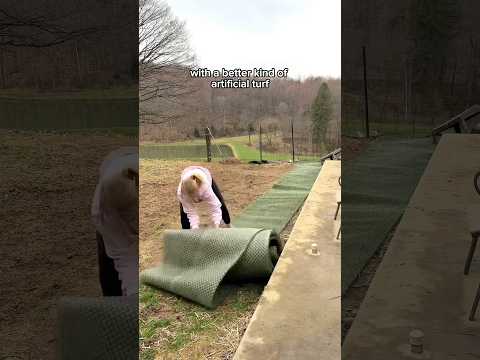 THE BEST ARTIFICIAL TURF FOR YOUR MUDDY YARD 🌱💚🐾 link in bio!