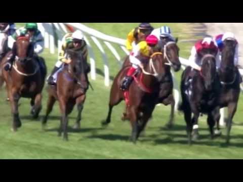 2010 Australian Guineas- Rock Classic