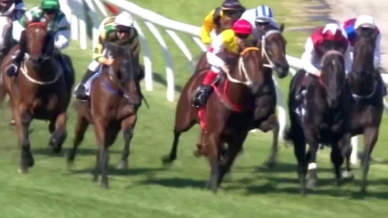 2010 Australian Guineas Winner: Rock Classic ๐