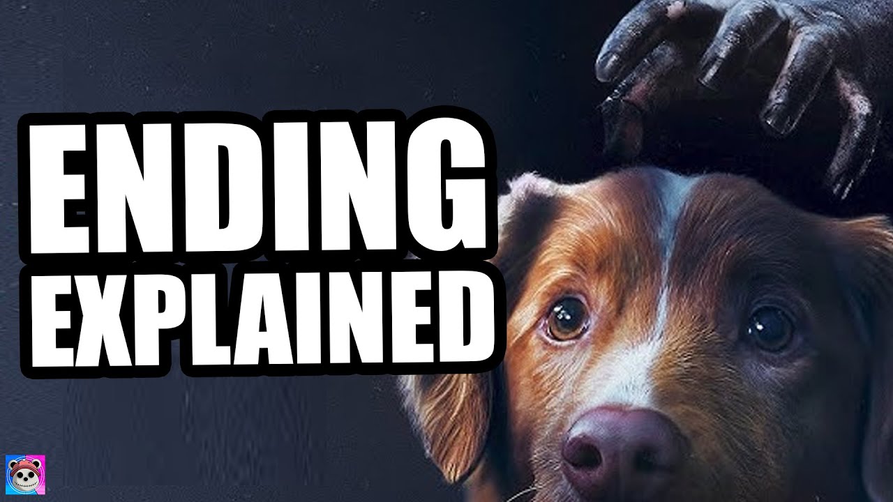 Good Boy Ending Explained ๐ถ